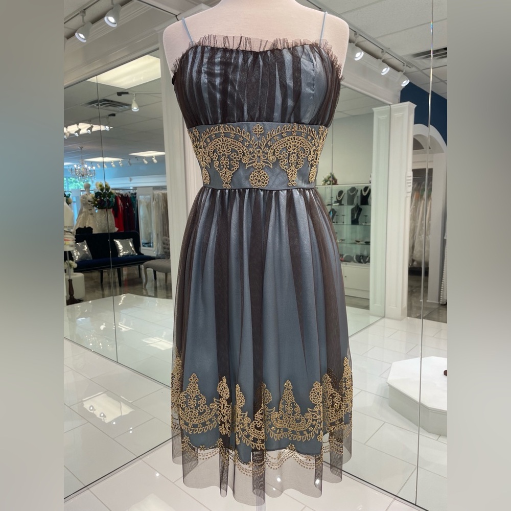 Elegant Blue, Brown, and Gold Lace Dress